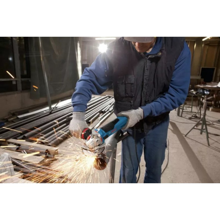 Кутова шліфмашина Bosch GWS 17-125 CIE (060179H002)