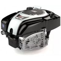 Двигатель бензиновый Briggs & Stratton Series 750EX DOV (1006020190H5YY7001)