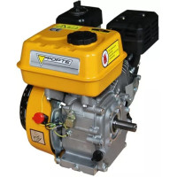 Двигатель бензиновый Forte F210GS-20 (79728)
