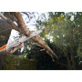 Аккумуляторный высоторез Stihl HTA50 (LA020116404)