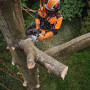 Акумуляторна пила STIHL MSA220.0 T, 35см (без АКБ та ЗП) (MA012000027)