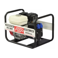 Бензиновый генератор FOGO FH3001 (34121)