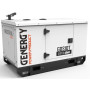 Генератор дизельний GENERGY GDS10T (240217090)