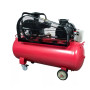 Компрессор воздушный Vitals Professional GK100.j653-12a (84596N)