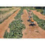 Культиватор STIHL MH 600.1 (62500113918)