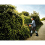 Мотоножиці Stihl HS82R, довжина ножа 600мм (42370112977)