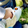 Мотокоса STIHL FS38, косильна головка AutoCut C5-2 (41400122315)
