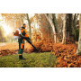 Воздуходув ранцевой STIHL BR 700 (42820111637)