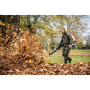 Воздуходувка ранцевая STIHL BR 800 C-E (42830111603)
