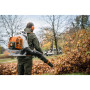 Воздуходувка ранцевая STIHL BR 800 C-E (42830111603)