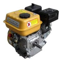 Двигатель FORTE F200G