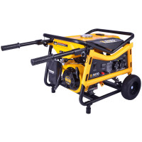 Генератор двухтопливный 220В Rato R3000W-VL