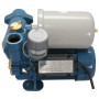 Станція насосна автоматична Vitals Aqua AVQ 437-2g